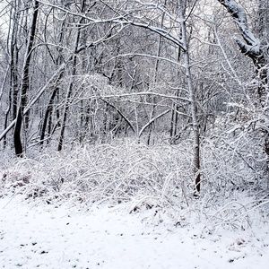 Meet your Posher, Jean